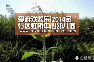 爱游戏登录