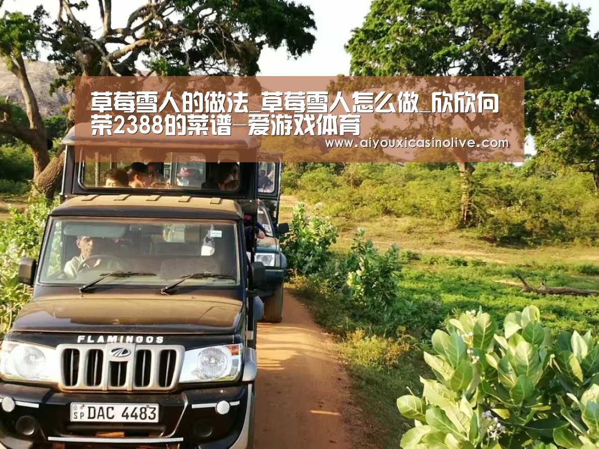 爱游戏登录