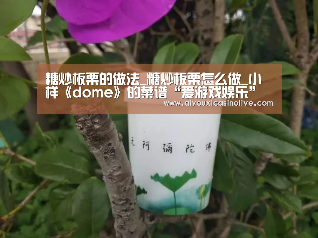 糖炒板栗的做法_糖炒板栗怎么做_小样《dome》的菜谱“爱游戏娱乐”(图3) 爱游戏娱乐