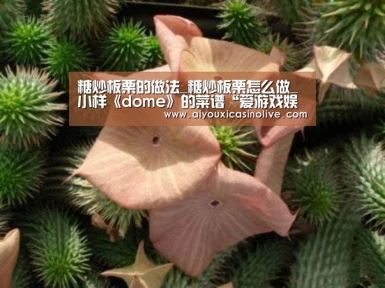 糖炒板栗的做法_糖炒板栗怎么做_小样《dome》的菜谱“爱游戏娱乐”(图4) 爱游戏体育