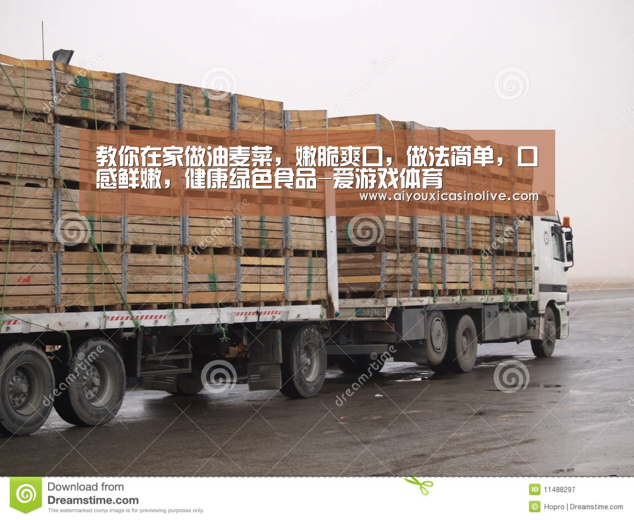 教你在家做油麦菜,嫩脆爽口,做法简单,口感鲜嫩,健康绿色食品-爱游戏体育(图1) 爱游戏娱乐