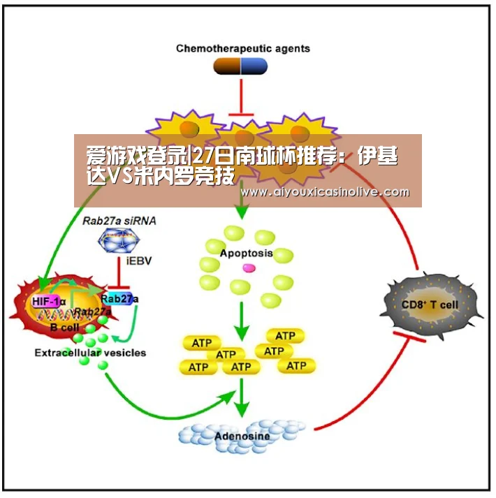 爱游戏下载