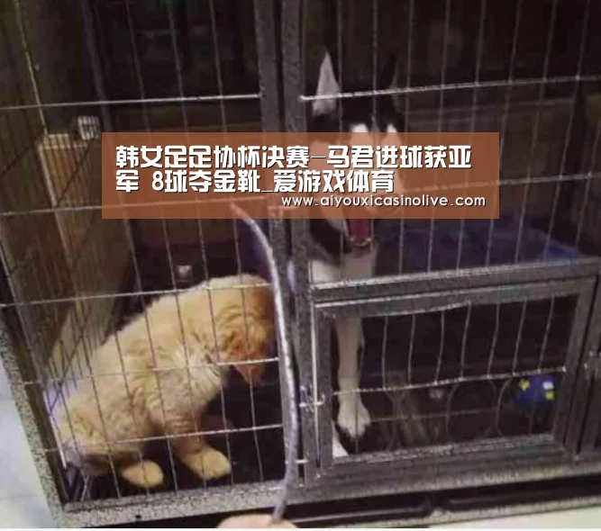 韩女足足协杯决赛-马君进球获亚军 8球夺金靴_爱游戏体育(图1) 爱游戏下载