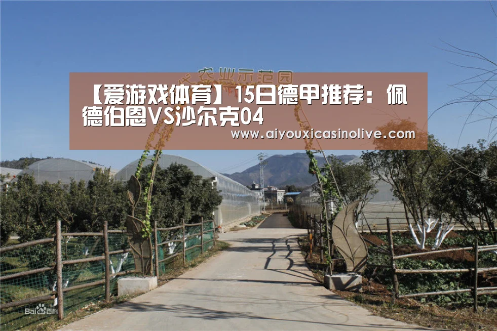 【爱游戏体育】15日德甲推荐:佩德伯恩VS沙尔克04(图1) 爱游戏登录